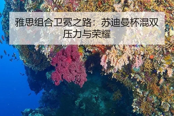 ya-si-zu-he-wei-mian-zhi-lu-su-di-man-bei-hun-shuang-ya-li-yu-rong-yao-3-833.jpg