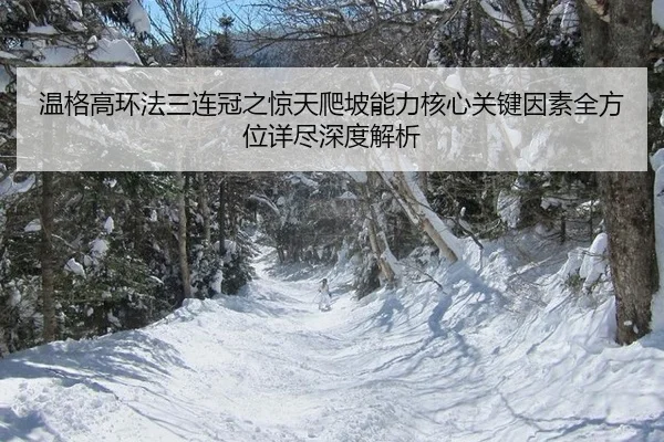 wen-ge-gao-huan-fa-san-lian-guan-zhi-jing-tian-pa-po-neng-li-he-xin-guan-jian-yin-su-quan-fang-wei-xiang-jin-shen-du-3-565.jpg