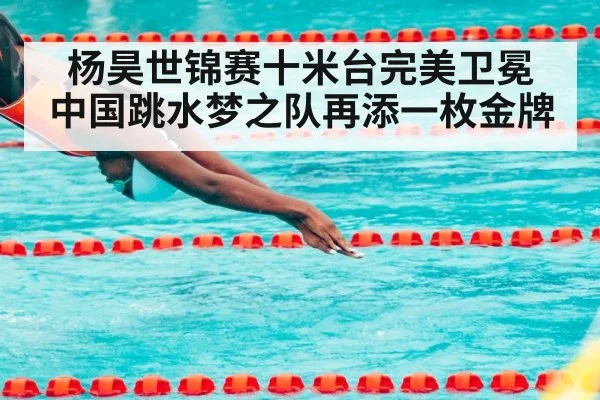 杨昊世锦赛十米台完美卫冕 中国跳水梦之队再添一枚金牌