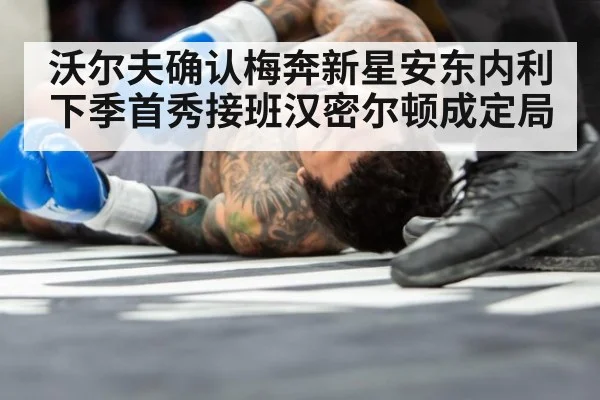 沃尔夫确认梅奔新星安东内利下季首秀接班汉密尔顿成定局
